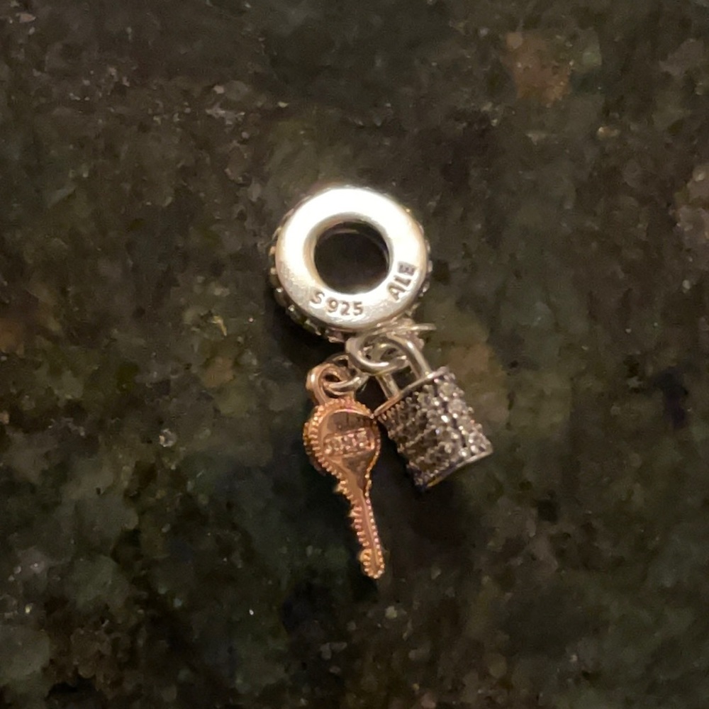 Pandora rose and silver charm